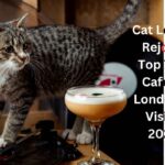 Cat Cafes in London